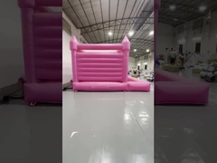 ピンクのバウンサー 1035